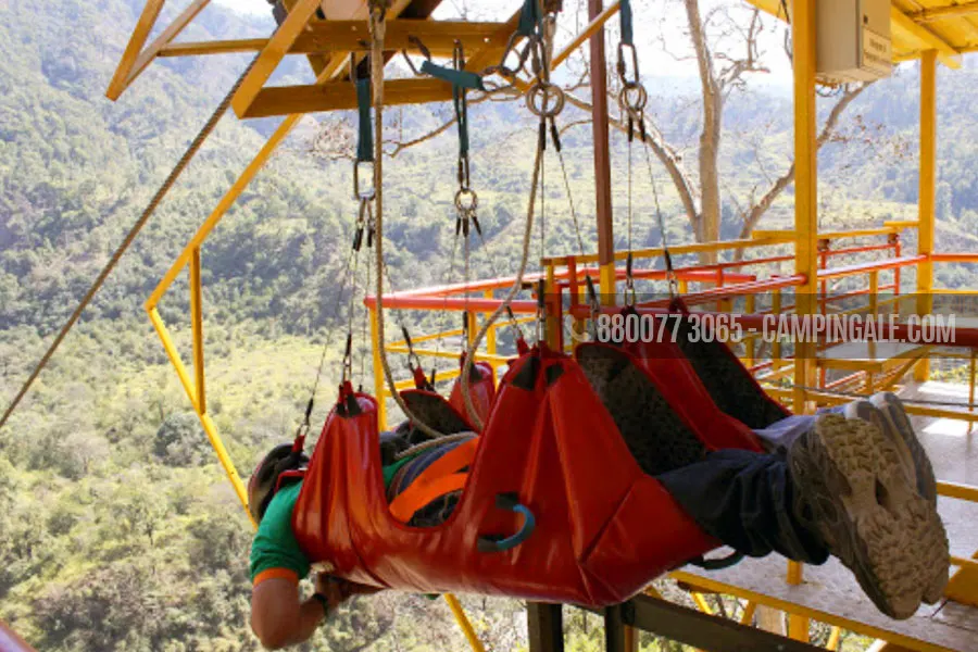 Flying Fox
